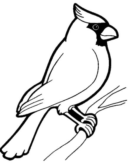 Dibujo de Cardenal Basíco para Colorear y Imprimir