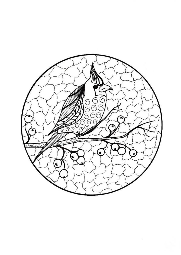 Dibujo de Cardenal En Rama Adulto para Colorear y Imprimir