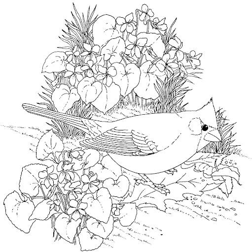 dibujo lindo cardenal norte para imprimir y colorear