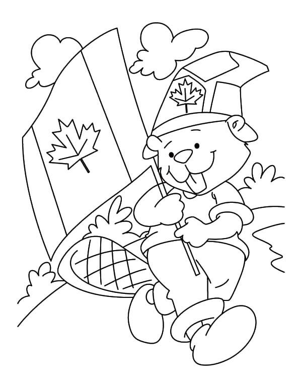 dibujo beaver boyscout en el dia de canada para imprimir y colorear