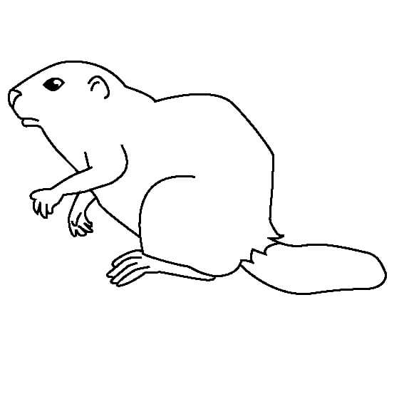 dibujo bonito castor para imprimir y colorear