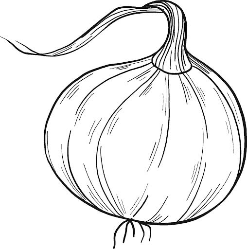 dibujo cebolla perfecta para colorear
