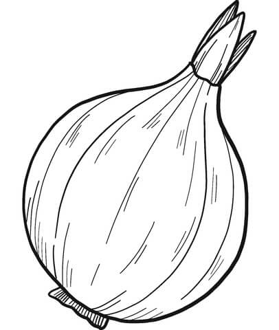 dibujo cebolla simple para colorear