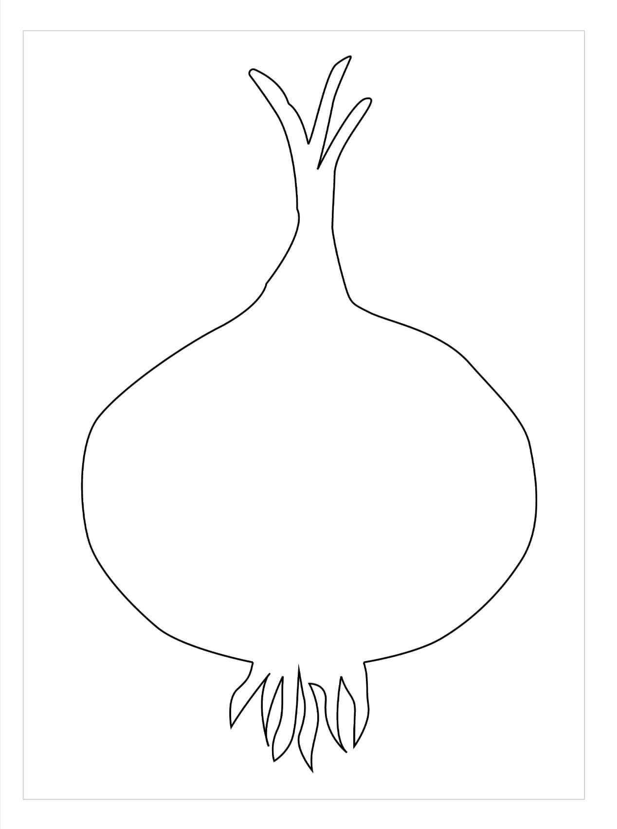 dibujo contorno de cebolla para colorear