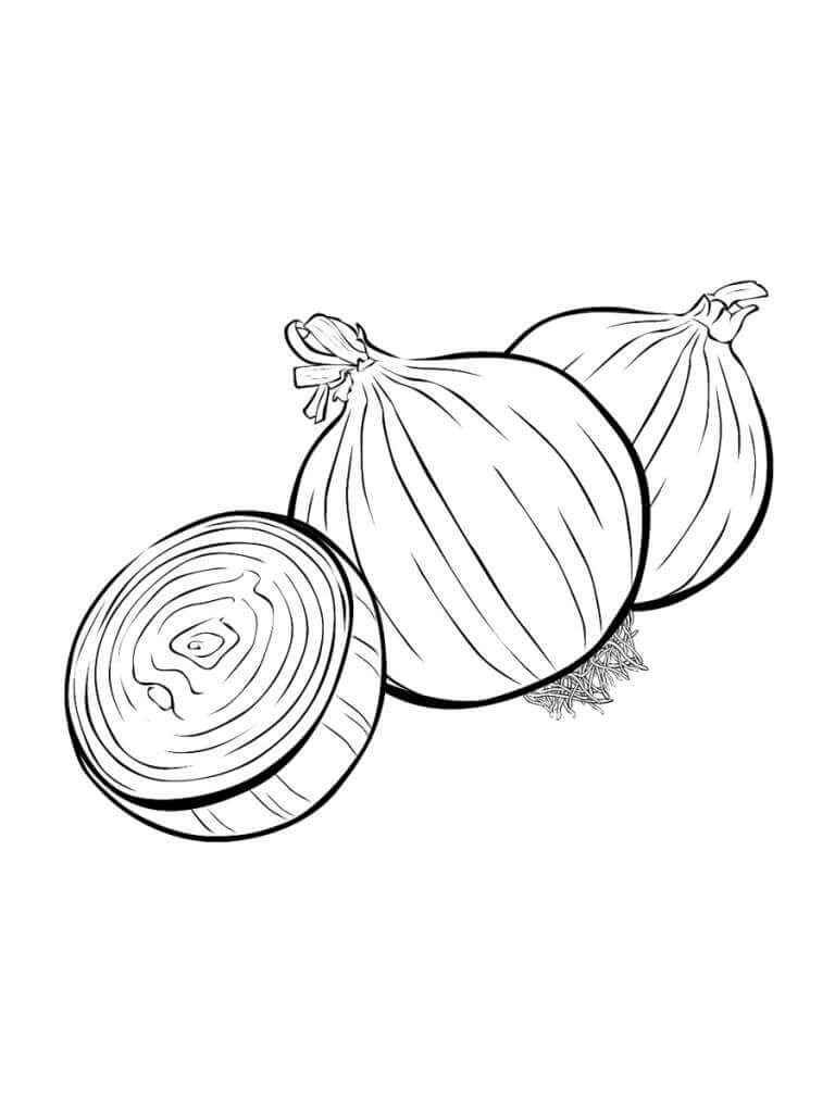 dibujo dos cebollas para colorear