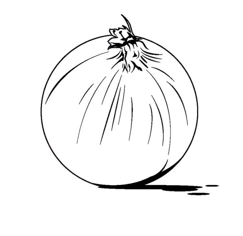 dibujo gran cebolla para colorear