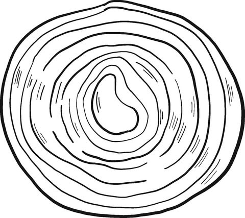 dibujo media cebolla para colorear