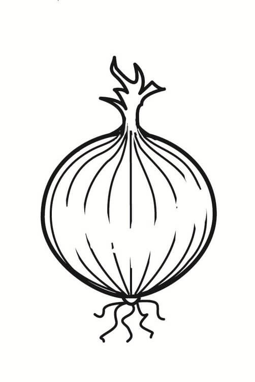 Dibujo de Bonito Cebolla para Colorear y Imprimir