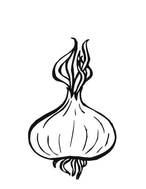 Dibujo de Cebolla Impresionante para Colorear y Imprimir