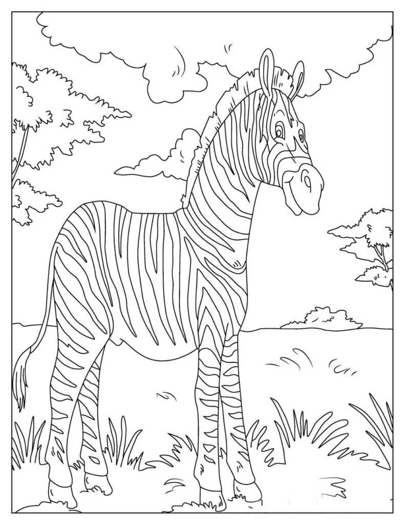 Dibujo de Bonita Cebra para Colorear y Imprimir