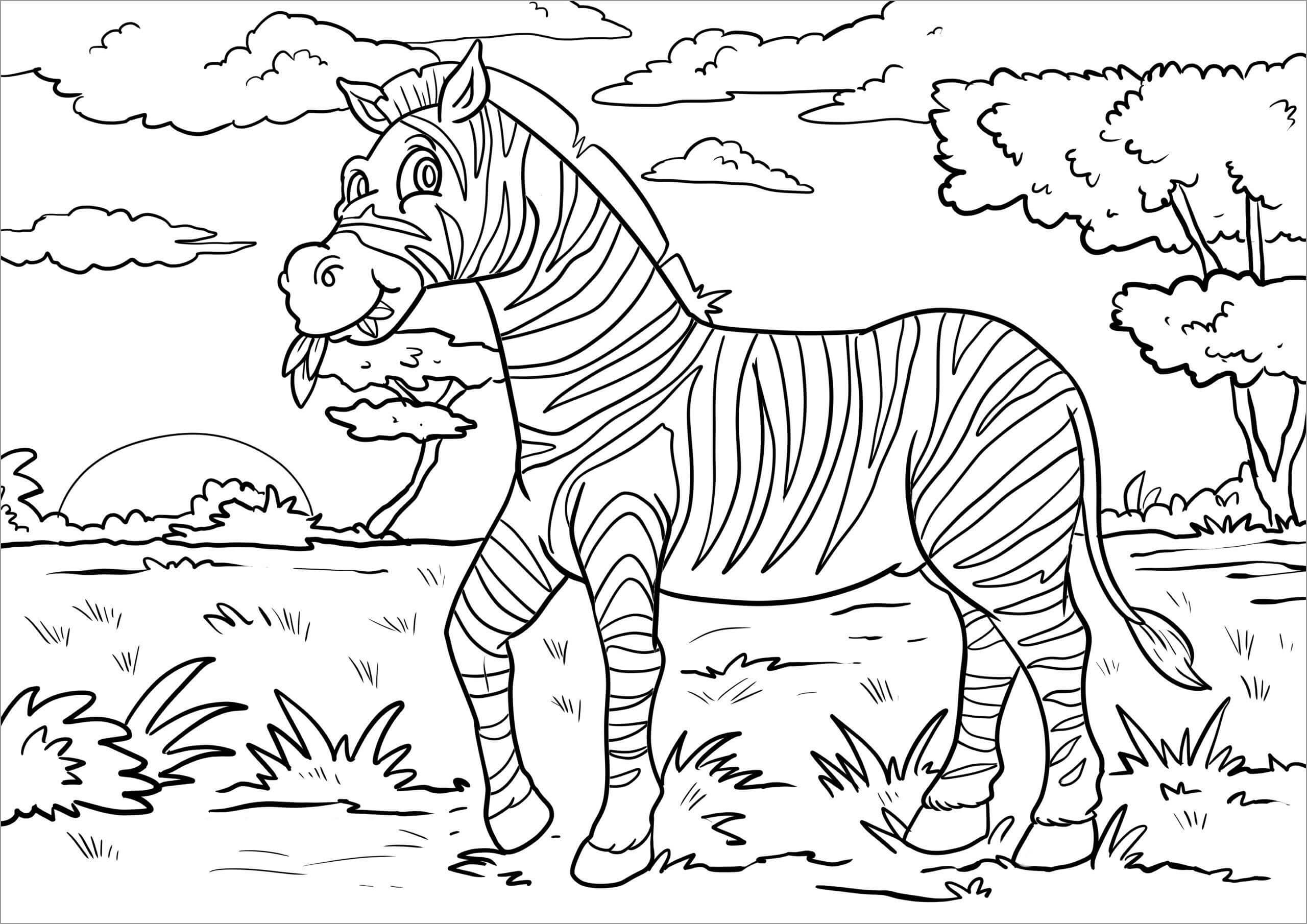 Dibujo de Cebra Comiendo Hierba para Colorear y Imprimir