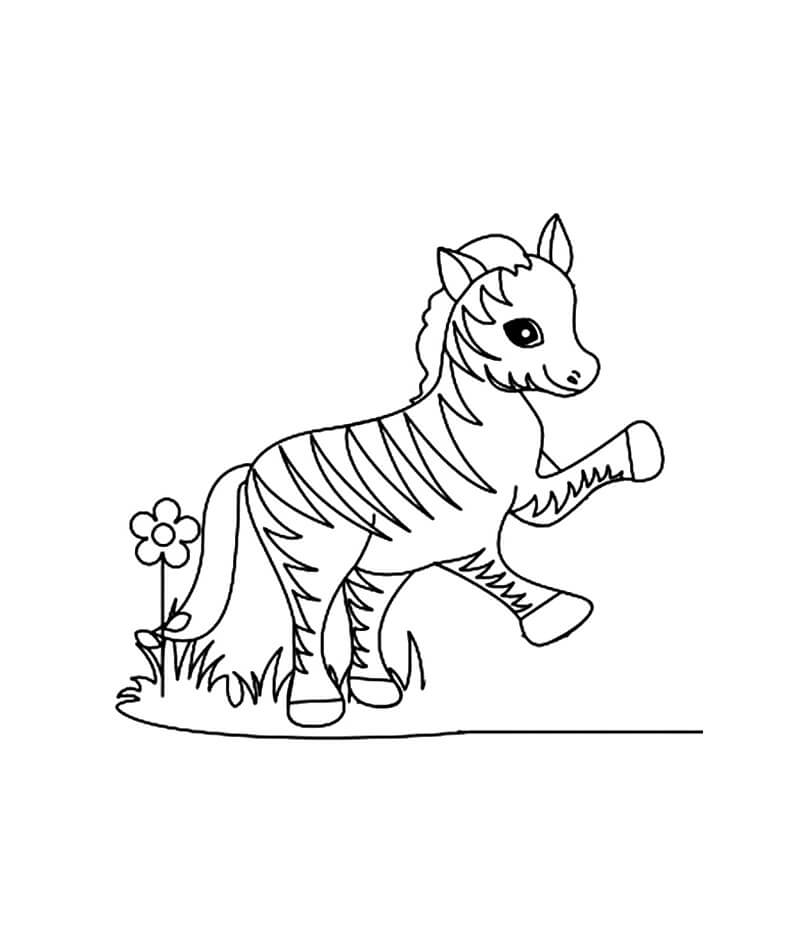 Dibujo de Cebra Con Flor y Hierba para Colorear y Imprimir