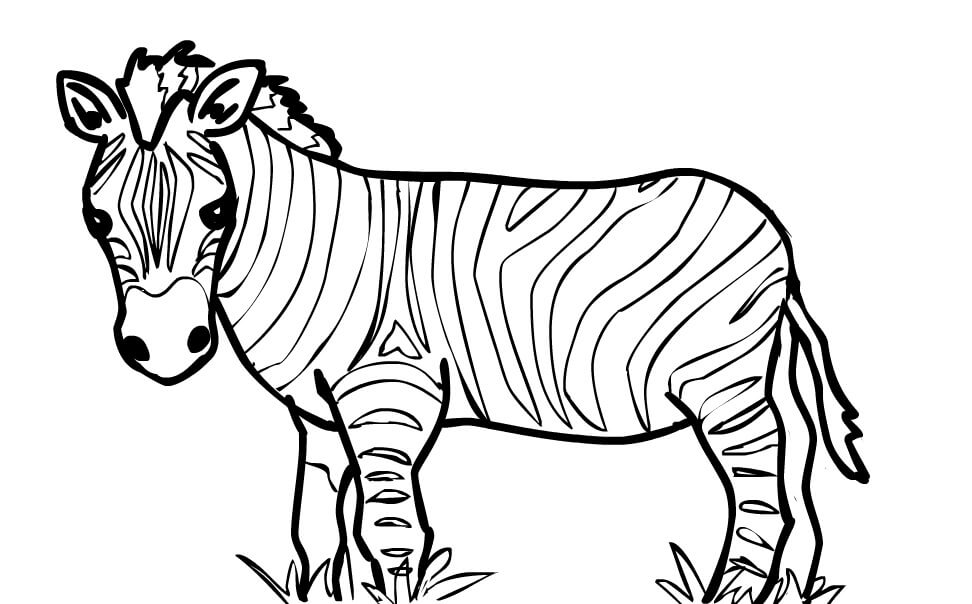 Dibujo de Cebra Con Hierba para Colorear y Imprimir