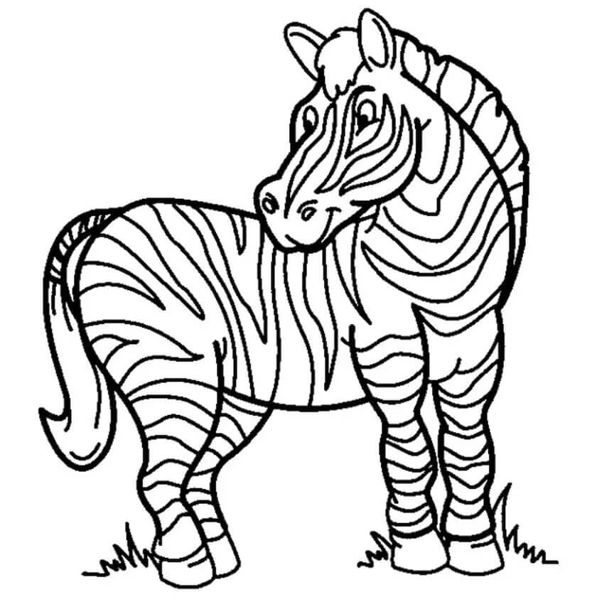 Dibujo de Cebra Imprimible para Colorear y Imprimir