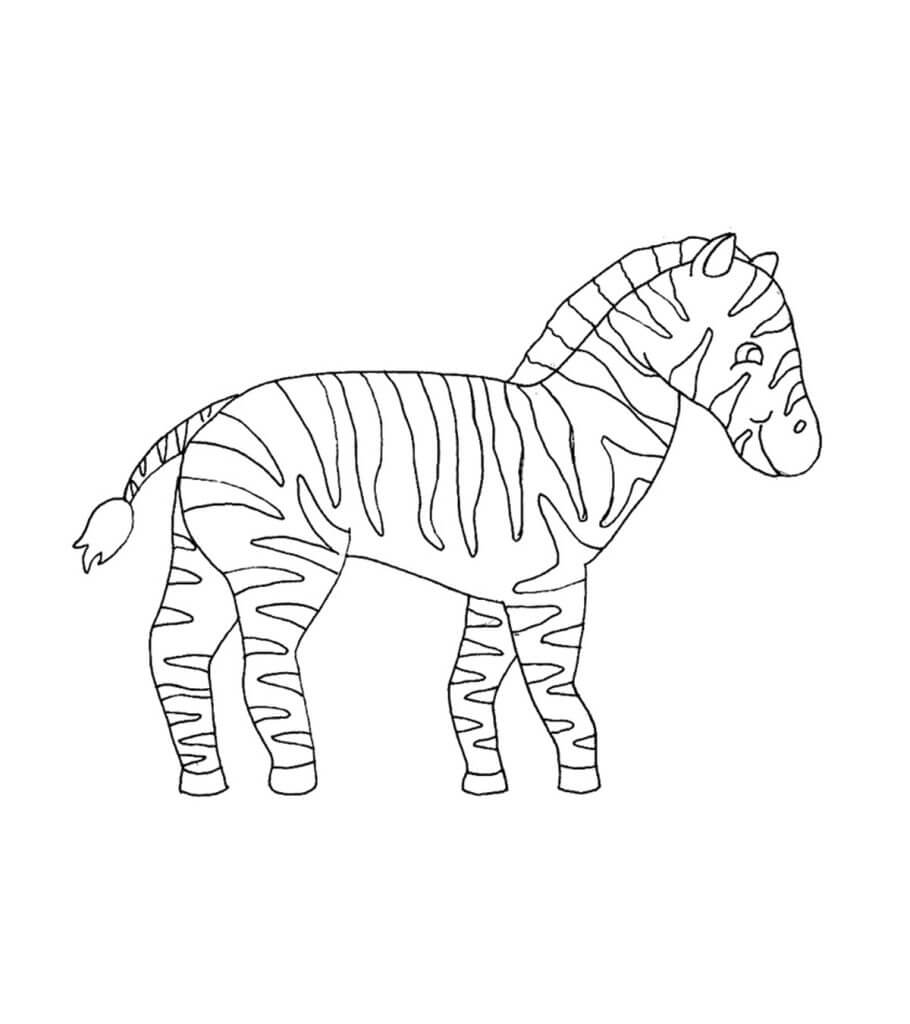Dibujo de Cebra Normal para Colorear y Imprimir