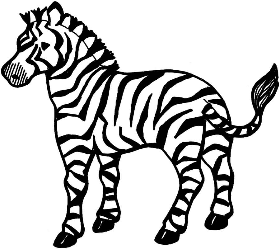 Dibujo de Dibujo Cebra para Colorear y Imprimir