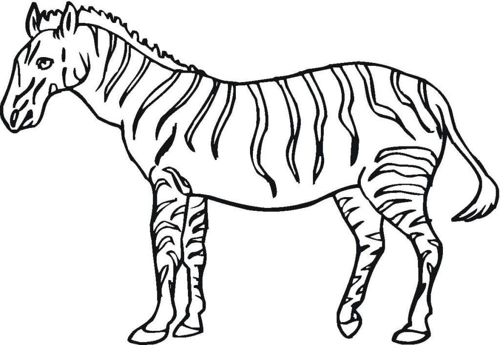 Dibujo de Gran Cebra para Colorear y Imprimir