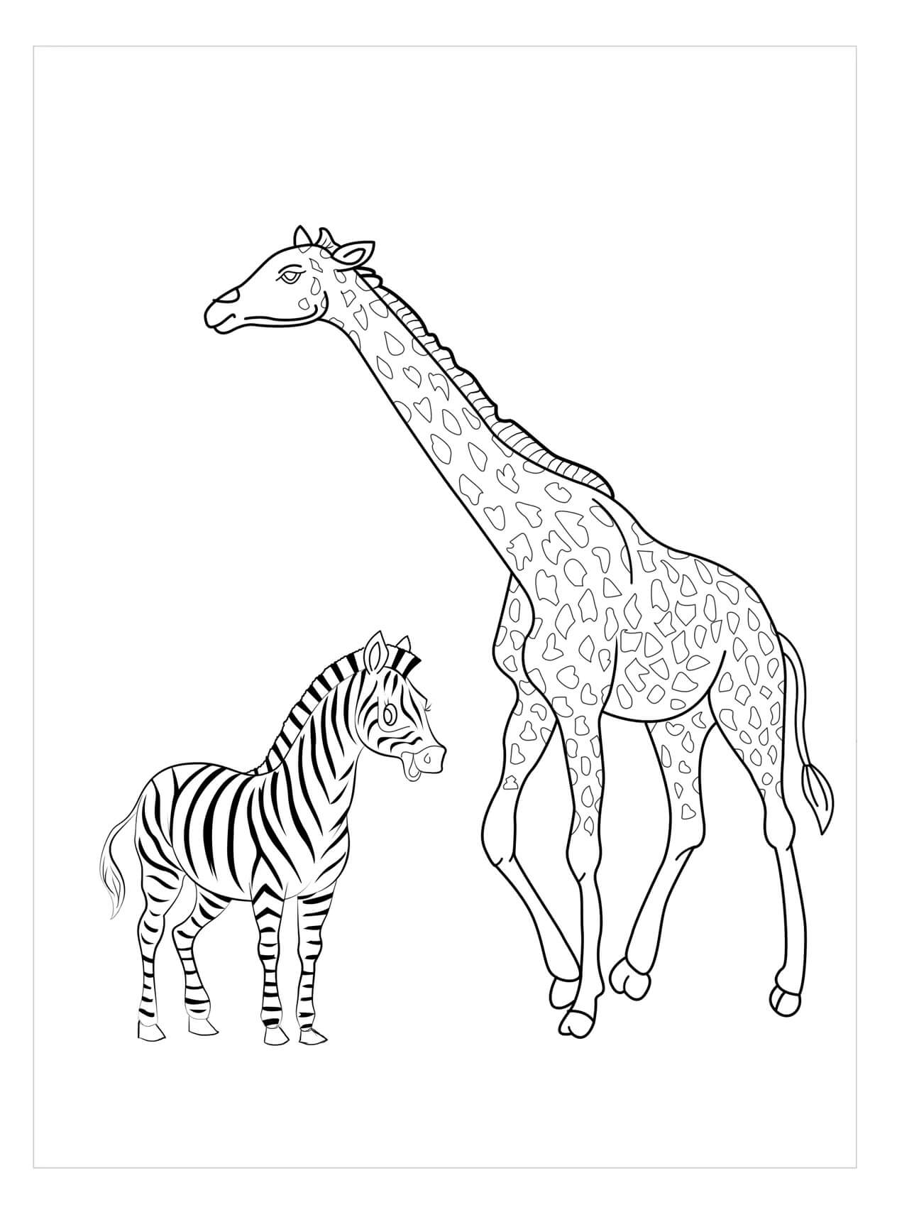 Dibujo de Jirafa y Cebra para Colorear y Imprimir