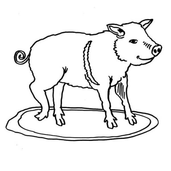 dibujo cerdito hambriento para imprimir y colorear