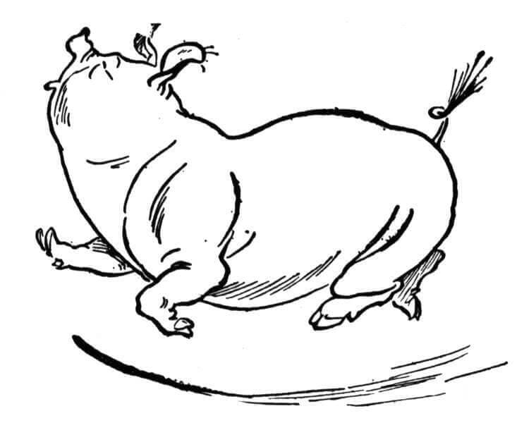 dibujo cerdo bailando para imprimir y colorear