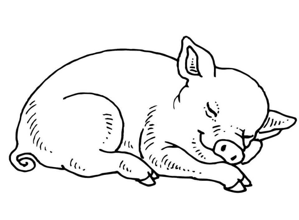dibujo cerdo bebe durmiendo para imprimir y colorear
