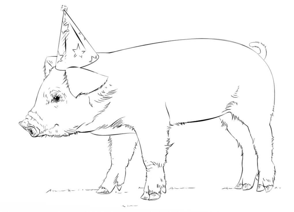 dibujo cerdo con gorro de fiesta para imprimir y colorear