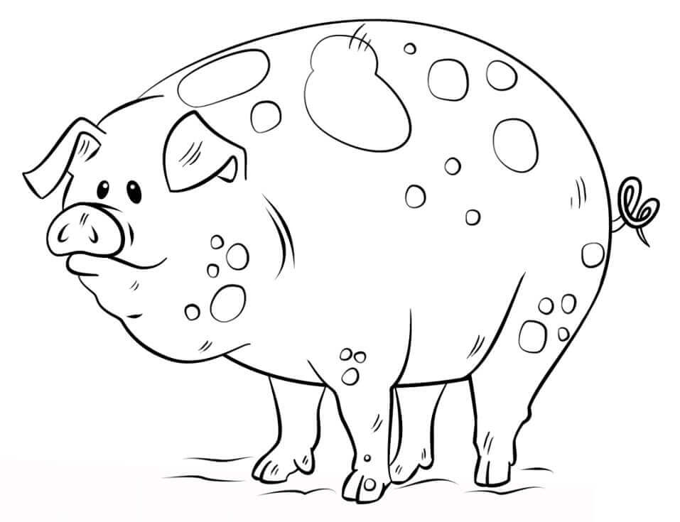 dibujo cerdo de dibujos animados para imprimir y colorear