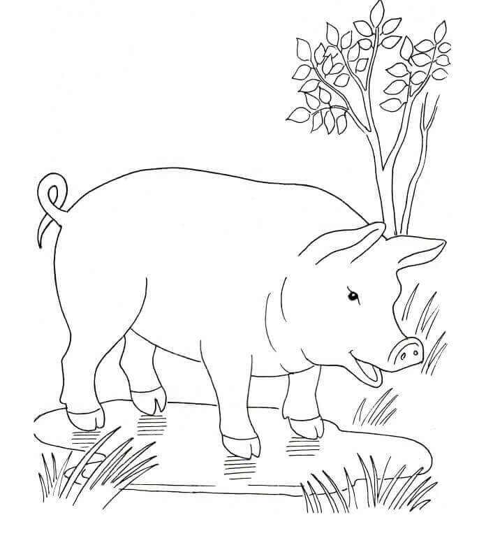 dibujo cerdo encantador para imprimir y colorear