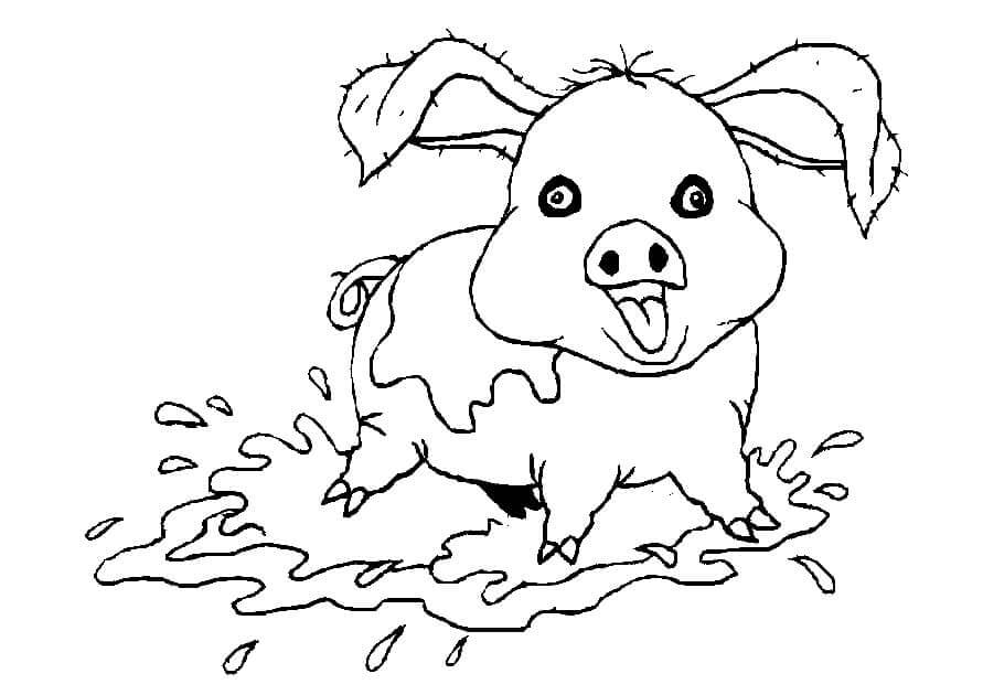 dibujo cerdo loco para imprimir y colorear