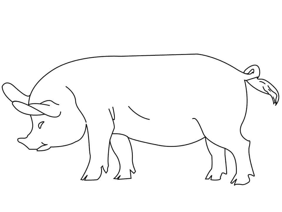 dibujo cerdo vuelo para imprimir y colorear