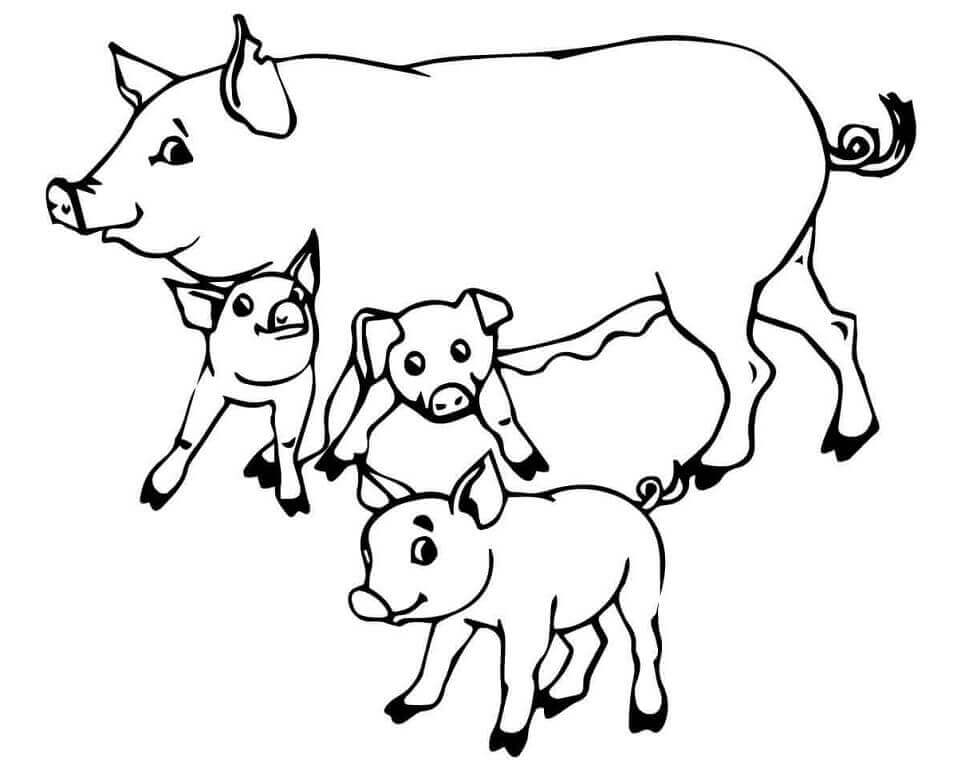 dibujo cerdo y flor para imprimir y colorear