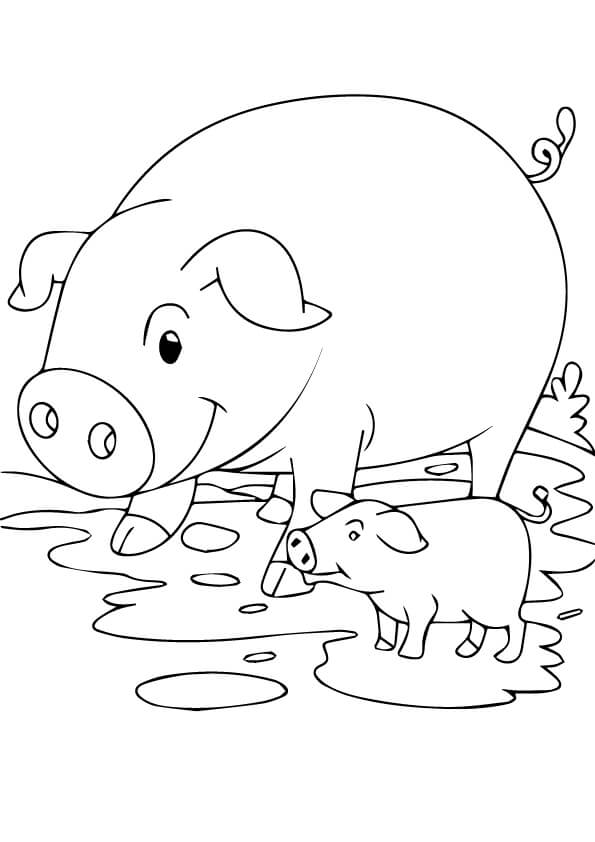 Dibujo de Cerdo y Lechón para Colorear y Imprimir