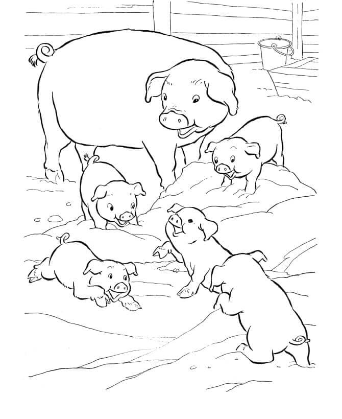 Dibujo de Cerdos Familiares para Colorear y Imprimir