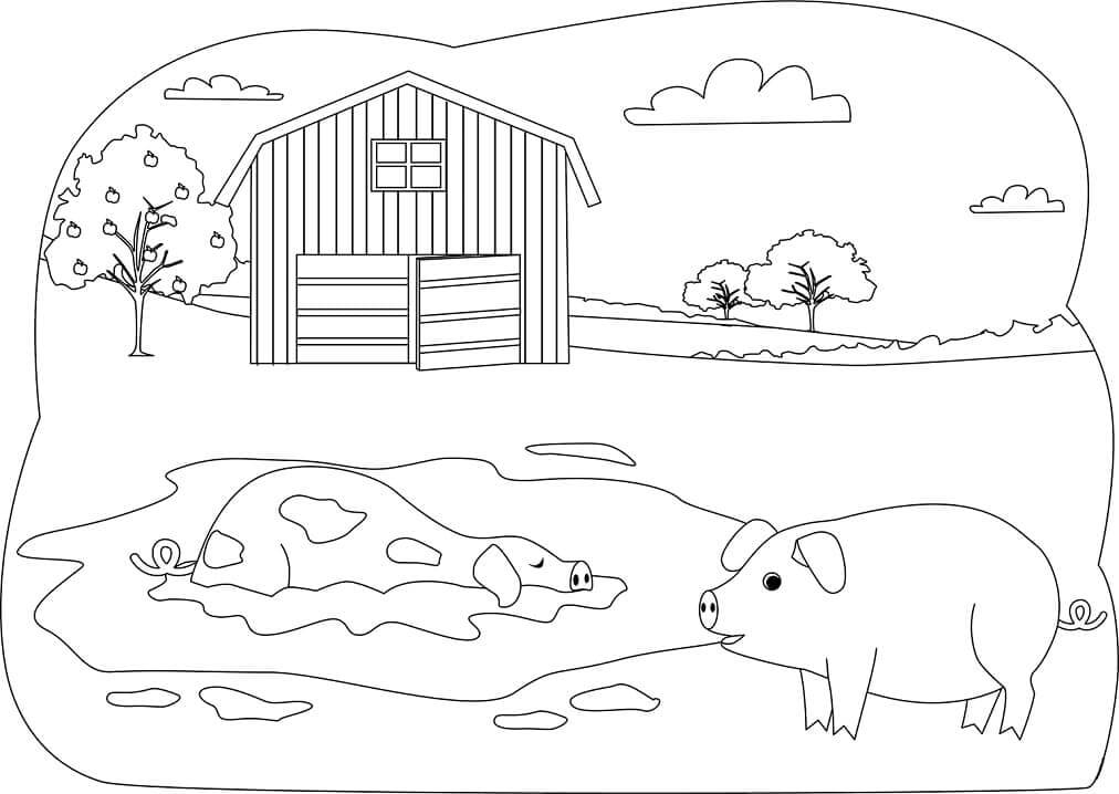 dibujo dos cerdos lindos para imprimir y colorear