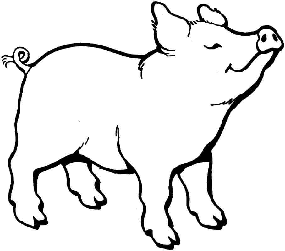 dibujo el cerdo huele algo para imprimir y colorear