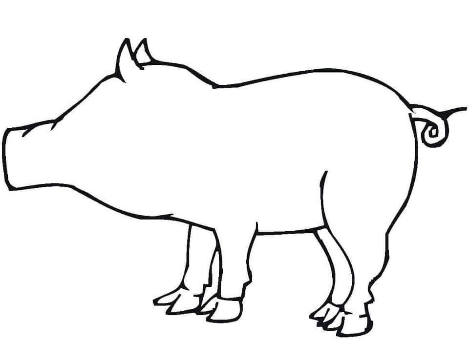 dibujo esquema de cerdo para imprimir y colorear
