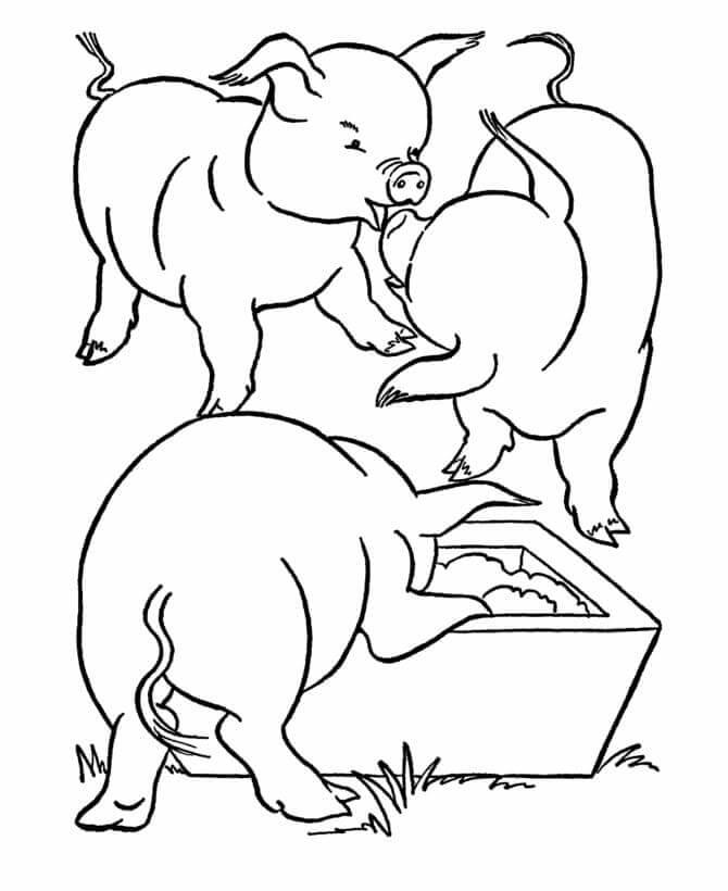 dibujo tres cerdos gordos para imprimir y colorear