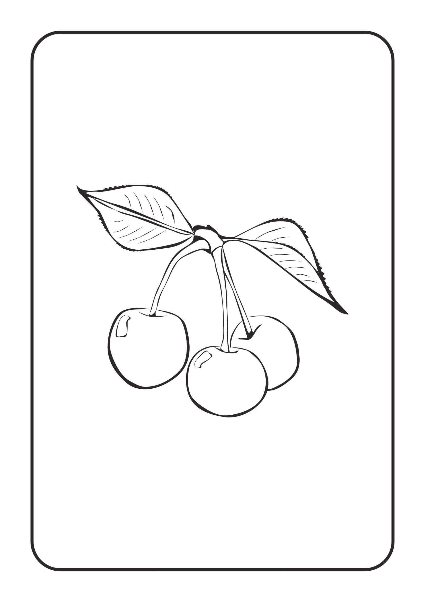 Dibujo de Basíco Tres Cerezas para Colorear y Imprimir