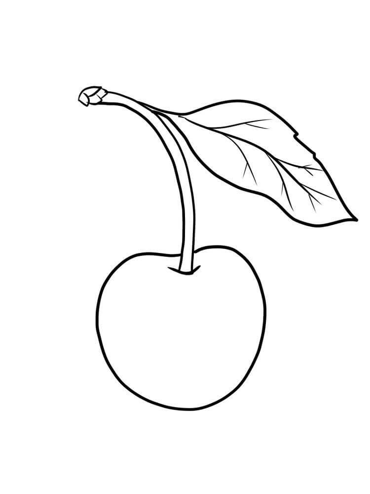 Dibujo de Cereza Básica para Colorear y Imprimir