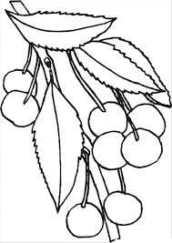 Dibujo de Cherrys En Rama de Árbol para Colorear y Imprimir