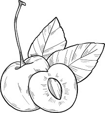 Dibujo de Dibujo de Cereza para Colorear y Imprimir