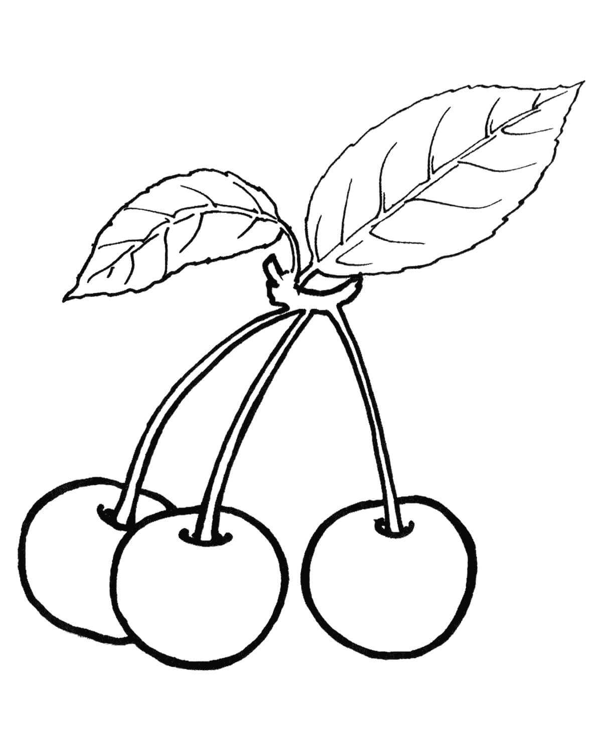 Dibujo de Tres Cerezas Con Hoja para Colorear y Imprimir