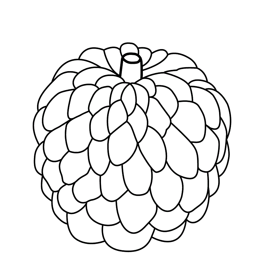 Dibujo de Chirimoya Básica para Colorear y Imprimir