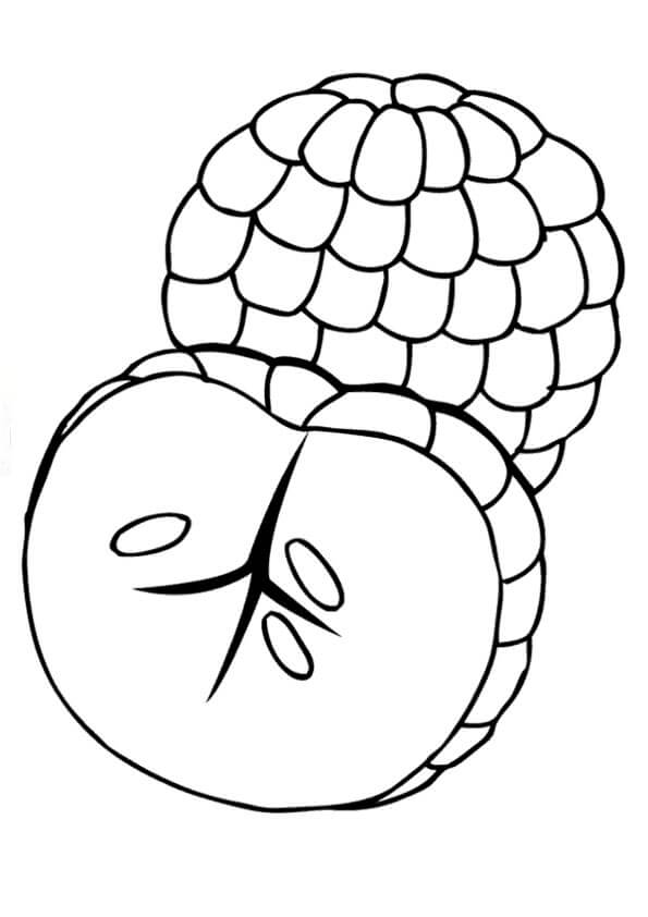 Dibujo de Chirimoya Básica y Media Chirimoya para Colorear y Imprimir