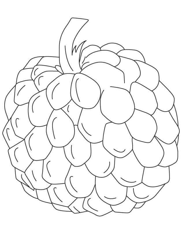 Dibujo de Chirimoya Impresionante para Colorear y Imprimir
