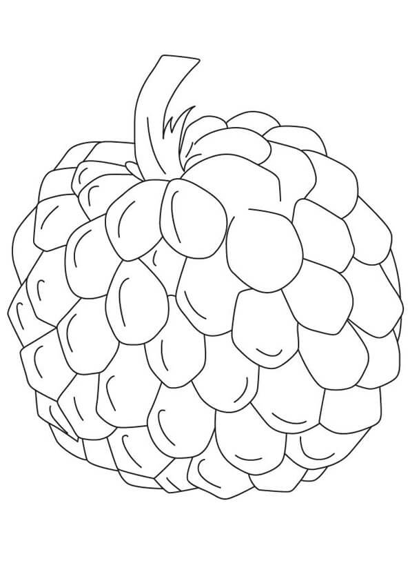 Dibujo de Chirimoya Simple para Colorear y Imprimir