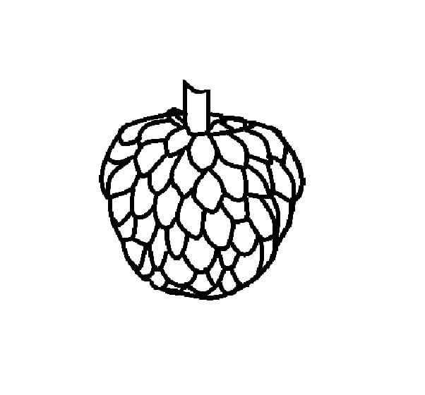 Dibujo de Dibujo de Chirimoya para Colorear y Imprimir