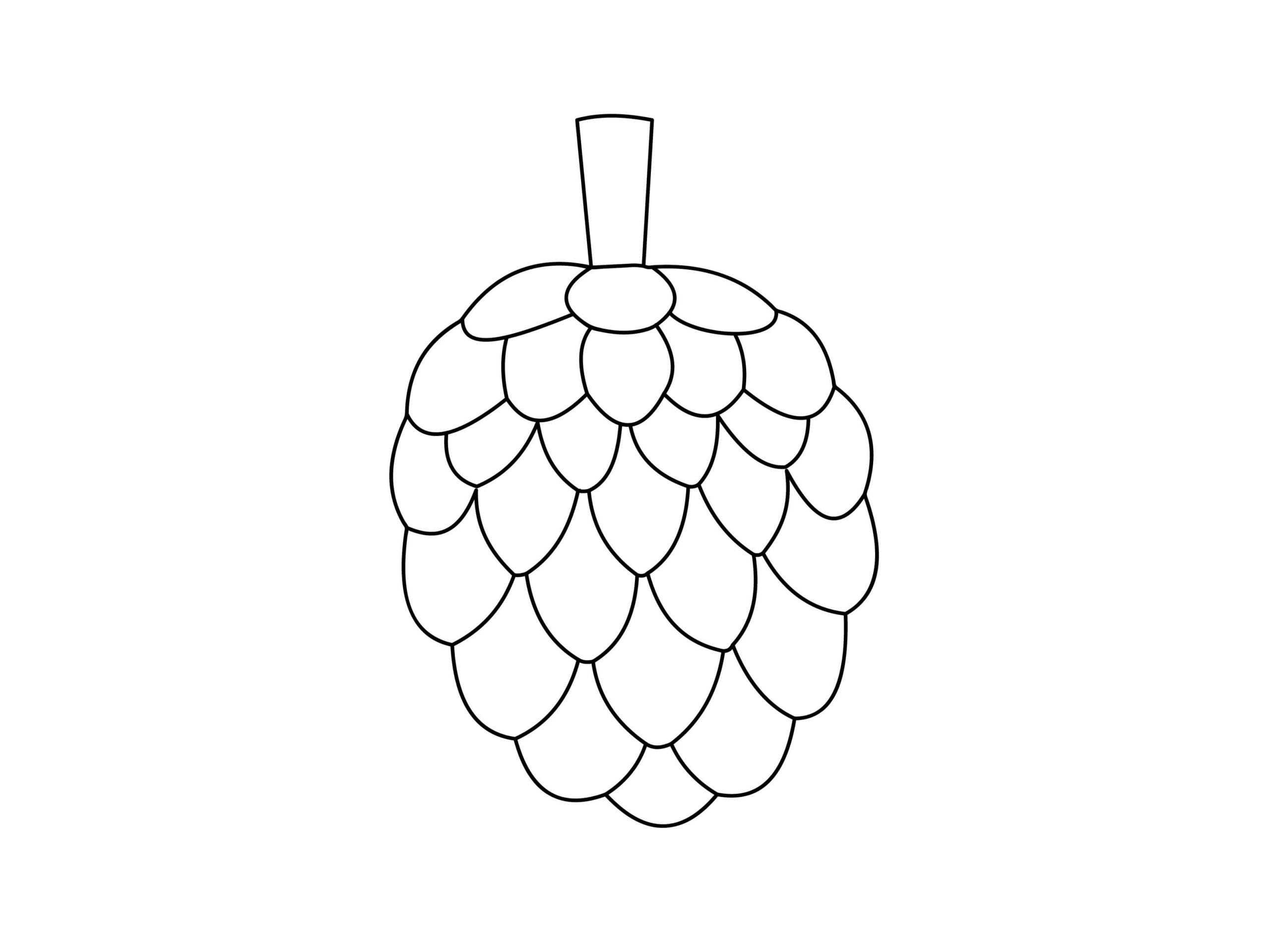 Dibujo de Gran Chirimoya Scaled para Colorear y Imprimir