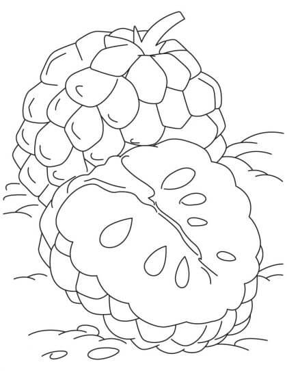 Dibujo de Una Chirimoya y Media Chirimoya para Colorear y Imprimir