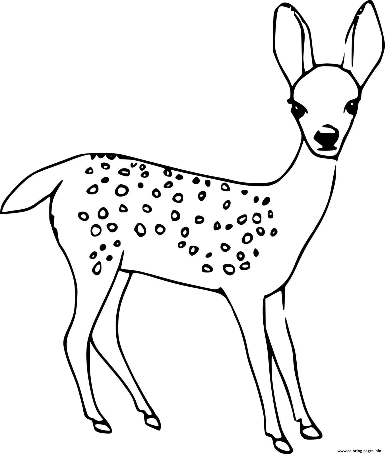 dibujo ciervo adorable para imprimir y colorear